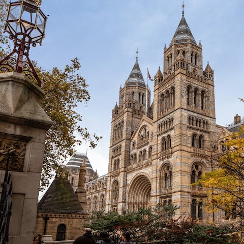 Stay close to Earl's Court and Gloucester Road tube stations, just a twelve-minute walk from the Natural History Museum
