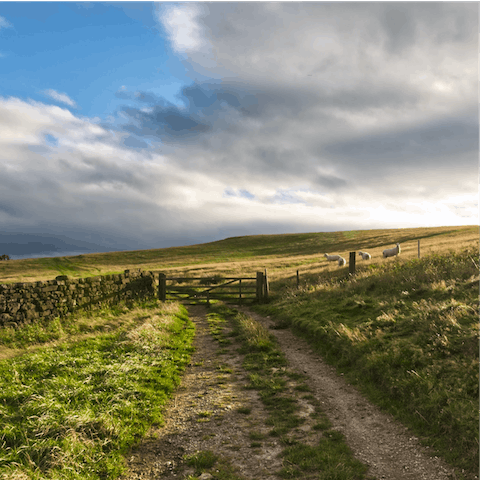 Pull on your hiking boots for a day on the North York Moors