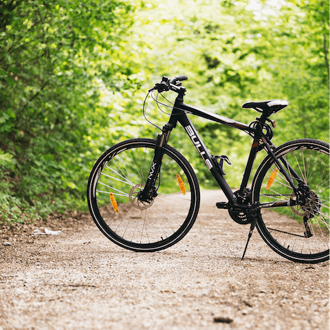 Pedal your way along Snowdonia's Mawddach Trail