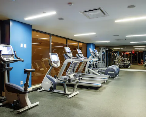 Your access to the fully fitted gym