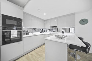Silver Sunrise image 11