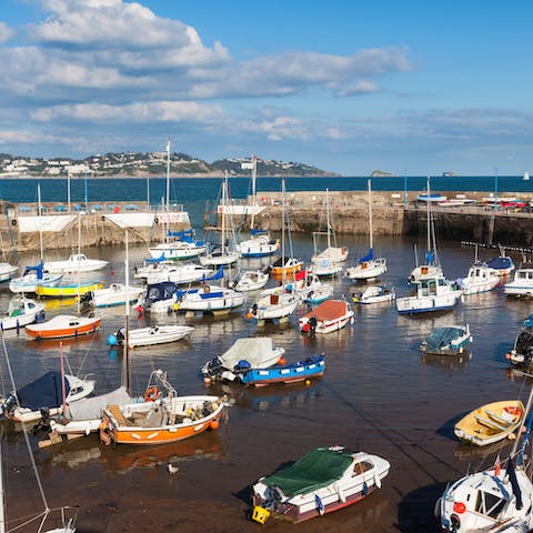 Head down to Paignton Harbour for a fresh fish supper by the waters edge (a ten-minute drive)