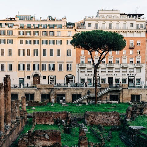 Study the Roman remains at Largo di Torre Argentina