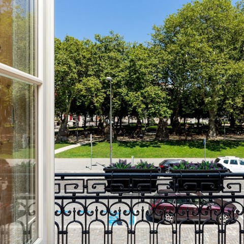 Gaze out across the street to the Jardim da Cordoaria  park