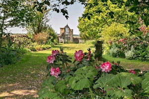 The Paloma Cottage image 11