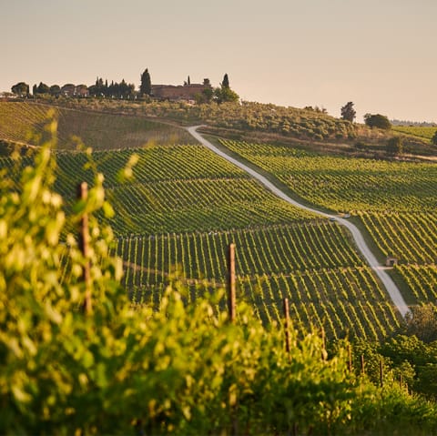 Stay just a short drive from the Tuscan town of Cortana