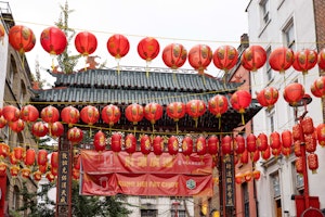 Joy Luck image 12
