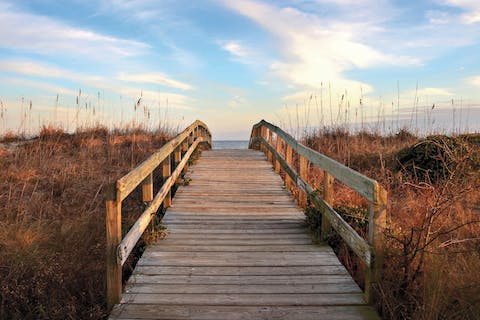 Cycle down to Sullivan's Island Beach, fifteen minutes by bike