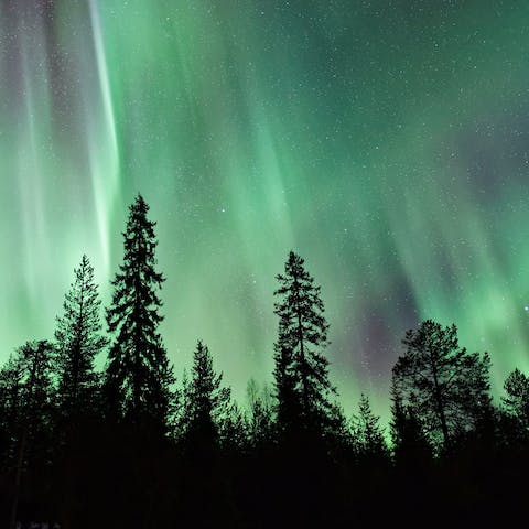 Keep an eye out for the Northern lights