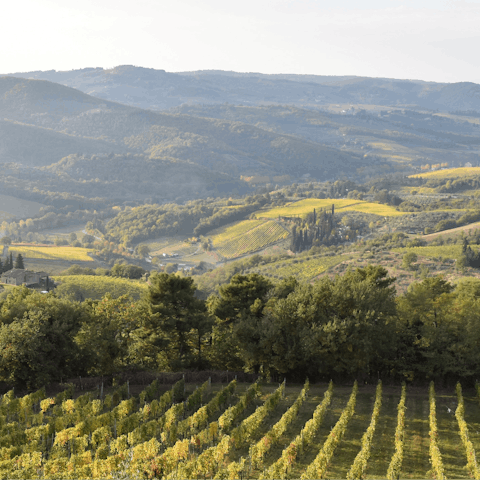 Explore the beautiful countryside of Chianti 