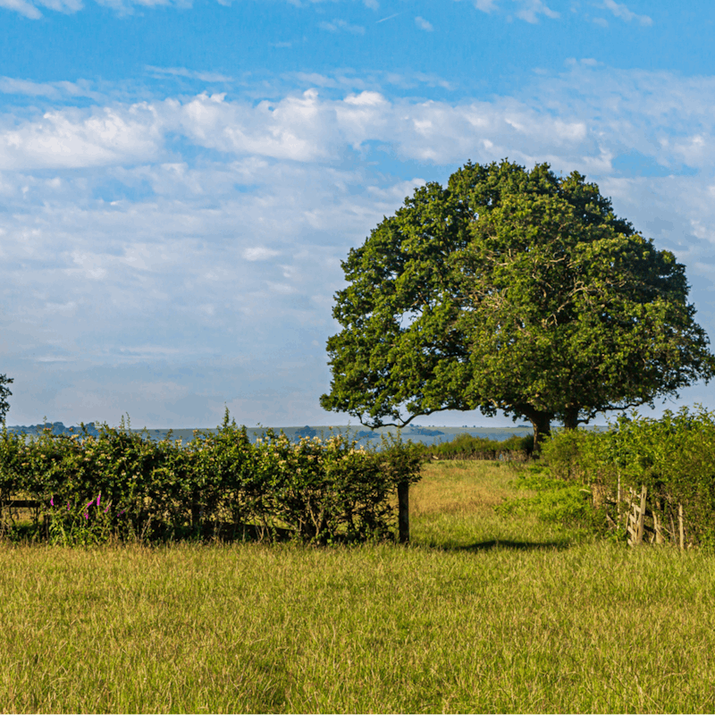 Explore the unspoilt landscape of the Blackdown Hills that surround your home