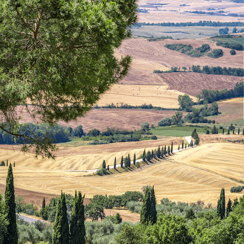 Explore the Le Marche countryside and get a look at local life in the villages
