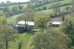 Grapes & Beams image 9