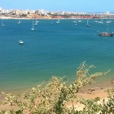Spend the day on beautiful Praia do Amado, 450 metres away