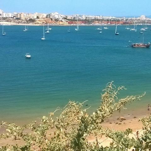  Spend the day on beautiful Praia do Amado, 450 metres away