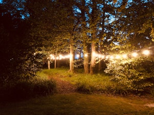 Somerleyton image 14