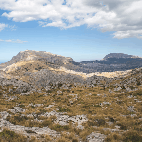 Stay at the edge of forest away from Mallorca's coastline