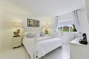 Painted White image 8