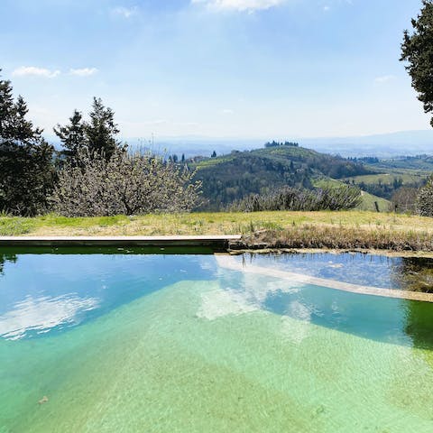Enjoy the picture-perfect views from the communal, organic pool