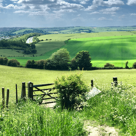 Discover the beauty of the South Downs National Park, right on your doorstep