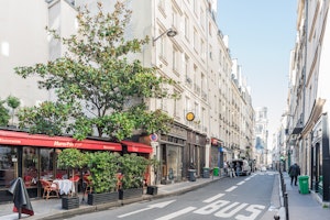 Parisian Gardens image 9