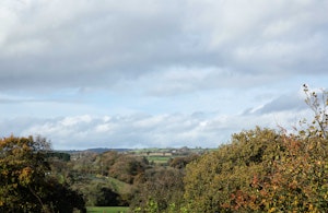 Rogo image 4