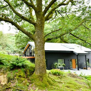 Relaxing Rurality image 11