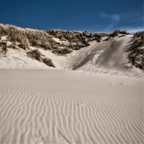 Visit the white sandy beaches of Berck, 4 kilometres away