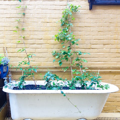 The quirky bathtub planter