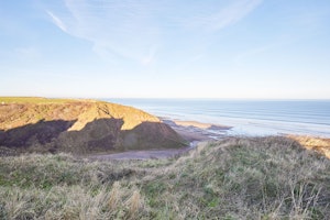 Marine Parade image 4