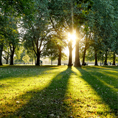 Grab a coffee and stroll through Hyde Park – it's just a short walk away