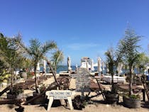 Eat on the beach at Paradise Cove Beach Café