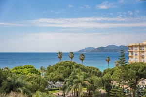 Cannes Outlook image 7