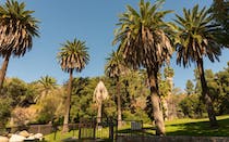 Go for a walk in Wattles Garden Park