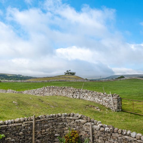 Explore the stunning Yorkshire Dales National Park, right on your doorstep