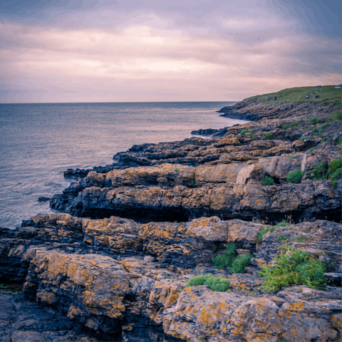 Discover the handsomely rugged coastline of South Wales, with Barry Island a short drive away