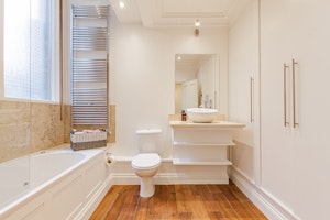The Palin image 9