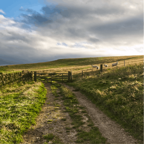 Explore the majestic North Yorkshire moors from this home in the village of Lockton