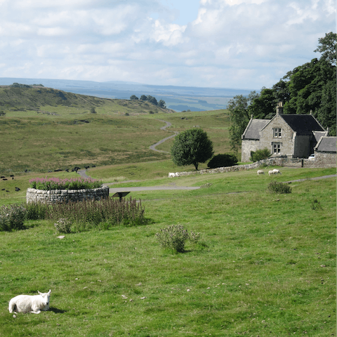 Explore the rolling hills of Northumberland – you'll be in a perfect spot in the Redesdale Valley