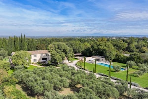 Lavender & Alpilles image 10