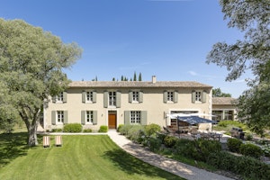 Lavender & Alpilles image 1