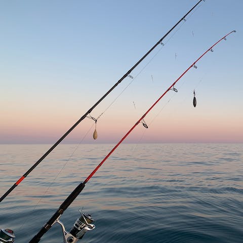 See if you can catch your supper by arranging a fishing trip