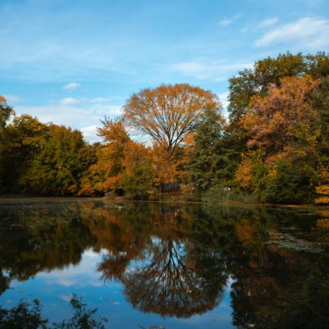 Walk eight minutes to beautiful Prospect Park 