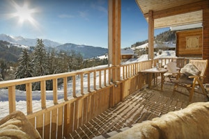 Alpine Spirit image 12