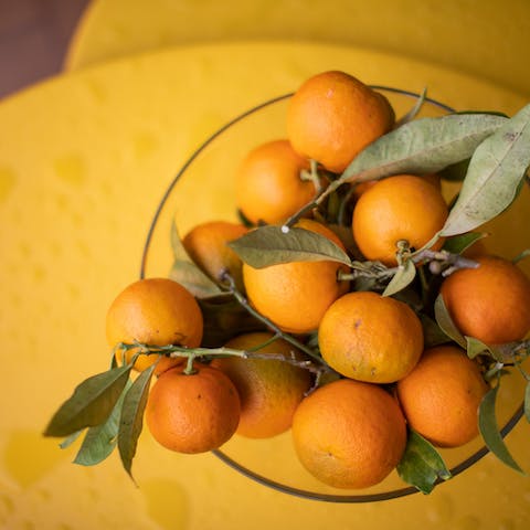 Try the Côte d'Azur's delicious, local produce