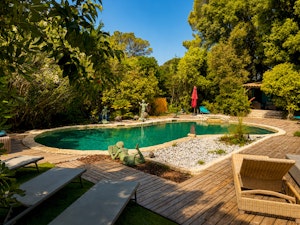 Garden Gazing image 11