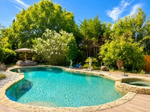 Garden Gazing image 2