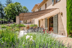 Golden Vines image 11