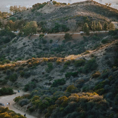 Go for a hike in the sprawling Griffith Park, only five minutes' drive away