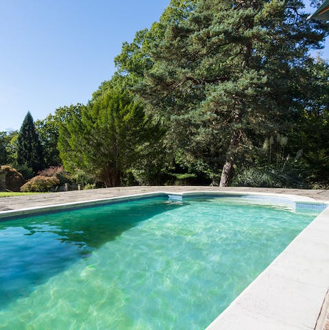 Take an afternoon dip in the luxurious swimming pool